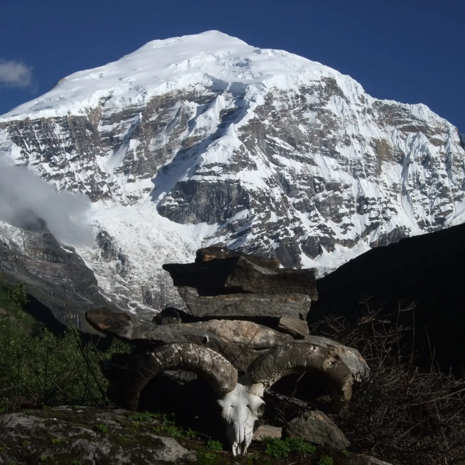A stone cairn and bharal skull beneath the peak