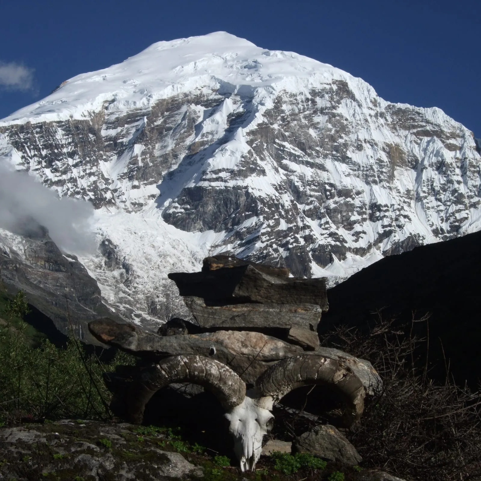 A stone cairn and bharal skull beneath the peak