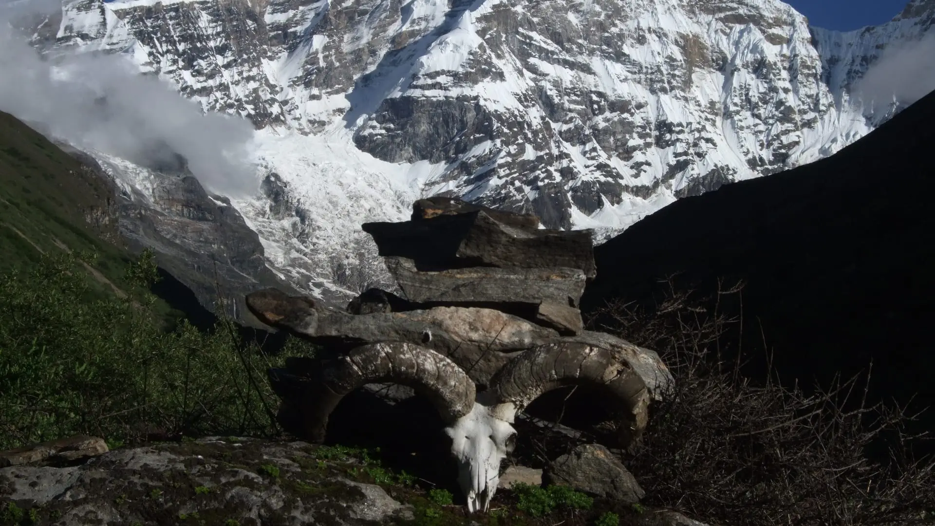 A stone cairn and bharal skull beneath Mount Jomolhari